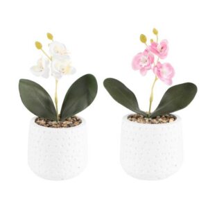 vaso-com-orquidea