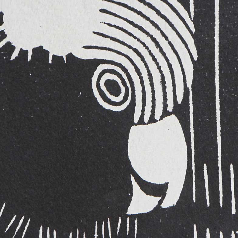 tela-piriquito4 tela-tecido