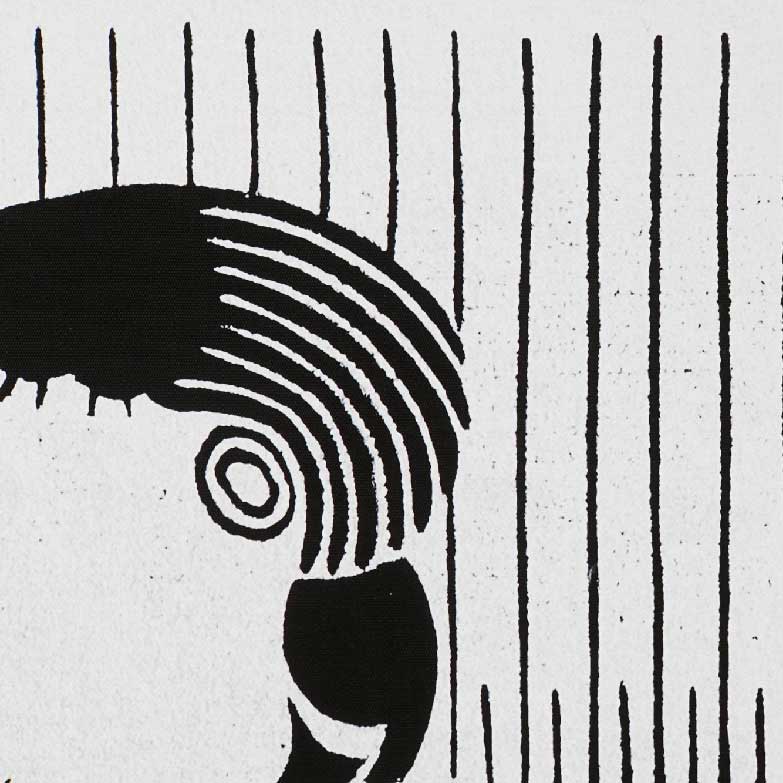 tela-piriquito5 tela-tecido